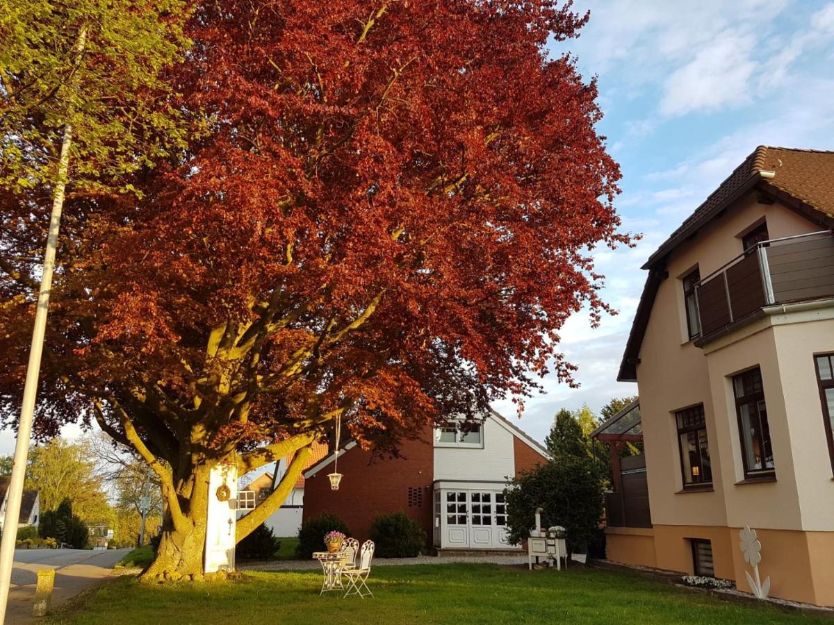Ostsee Ferienwohnung Pelzerhaken Neustadt in Holstein Buitenkant foto